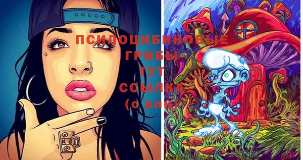 твердый Михайловка