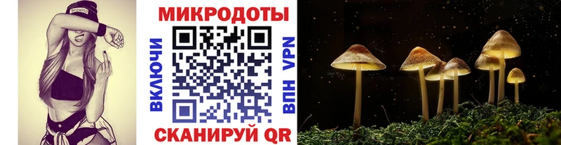 Галлюциногенные грибы Magic Shrooms  что такое   Калтан 